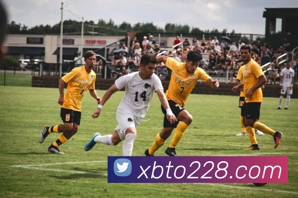 多媒体互动体验