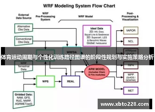 体育运动周期与个性化训练路径图谱的阶段性规划与实施策略分析